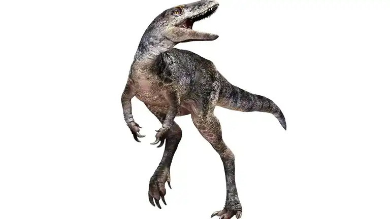 Yeni Dinozor Türü T.rex Aile Ağacını Sarsıyor Yeni Dinozor Türü T.rex Aile Ağacını Sarsıyor